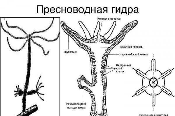 Ссылка кракен сегодня