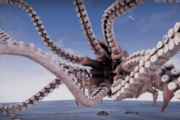 Kraken tor