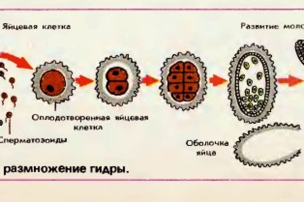 Кракен сайт kr2web in официальный ссылка
