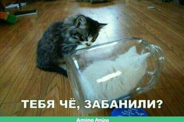 Kraken даркнет что это