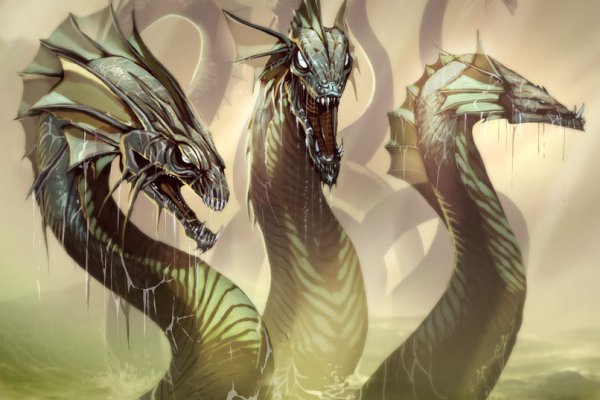 Kraken site